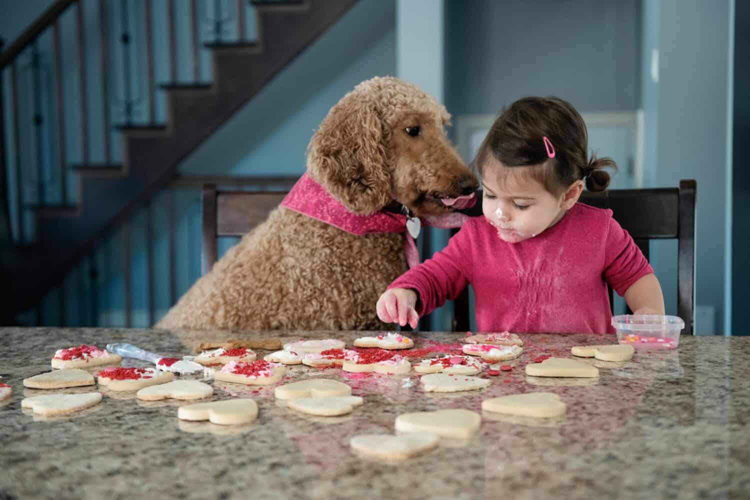 Stunning Animal Choking Hazards image