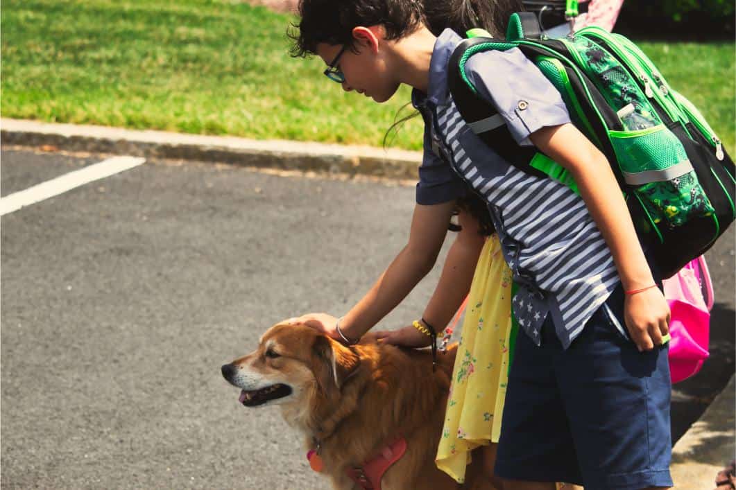 kids at school petting a dog.