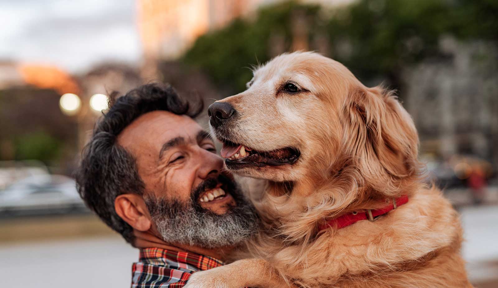 A man holding his golden retriever